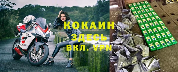 стаф Алзамай