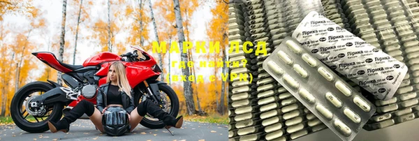 стаф Алзамай