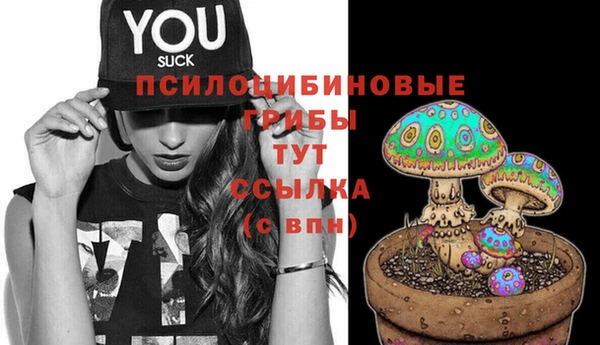 стаф Алзамай