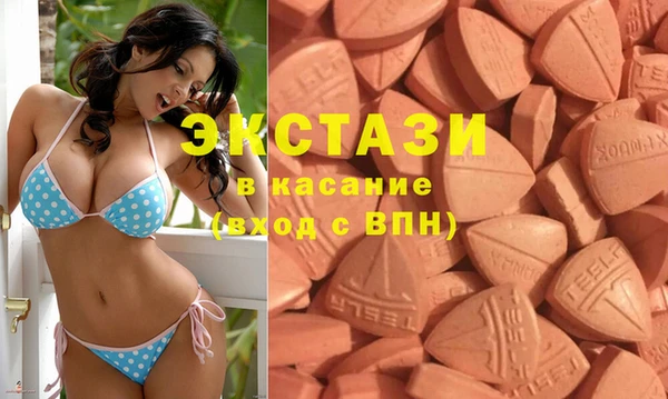 стаф Алзамай